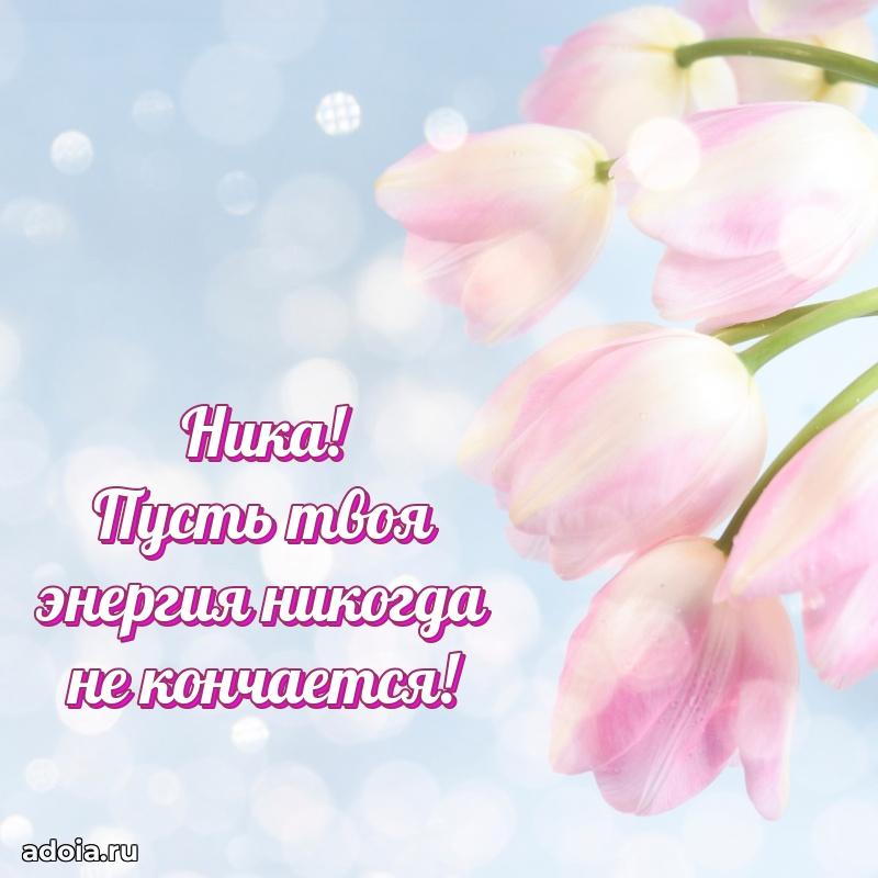 Поздравить подругу с др Нике