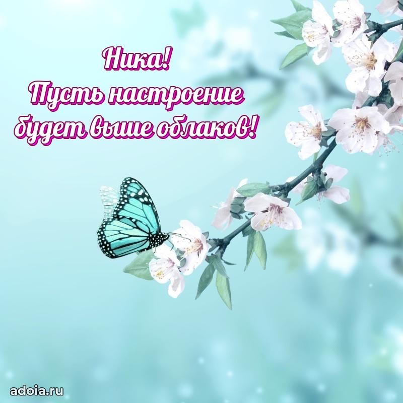 Смешная открытка для ватсап с днем рождения Нике