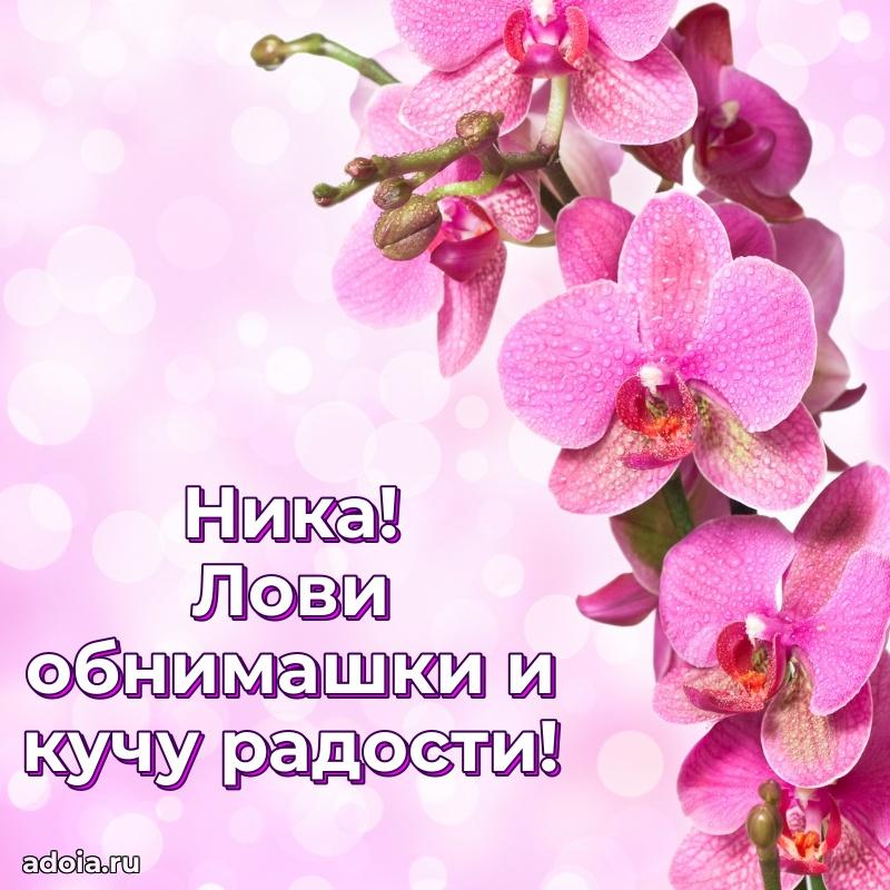 Поздравление с днем рождения девушке