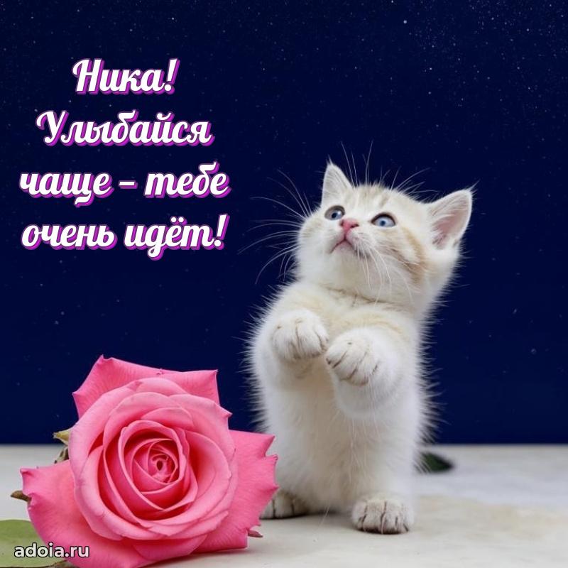 Поздравление с днем рождения сестре в стихах