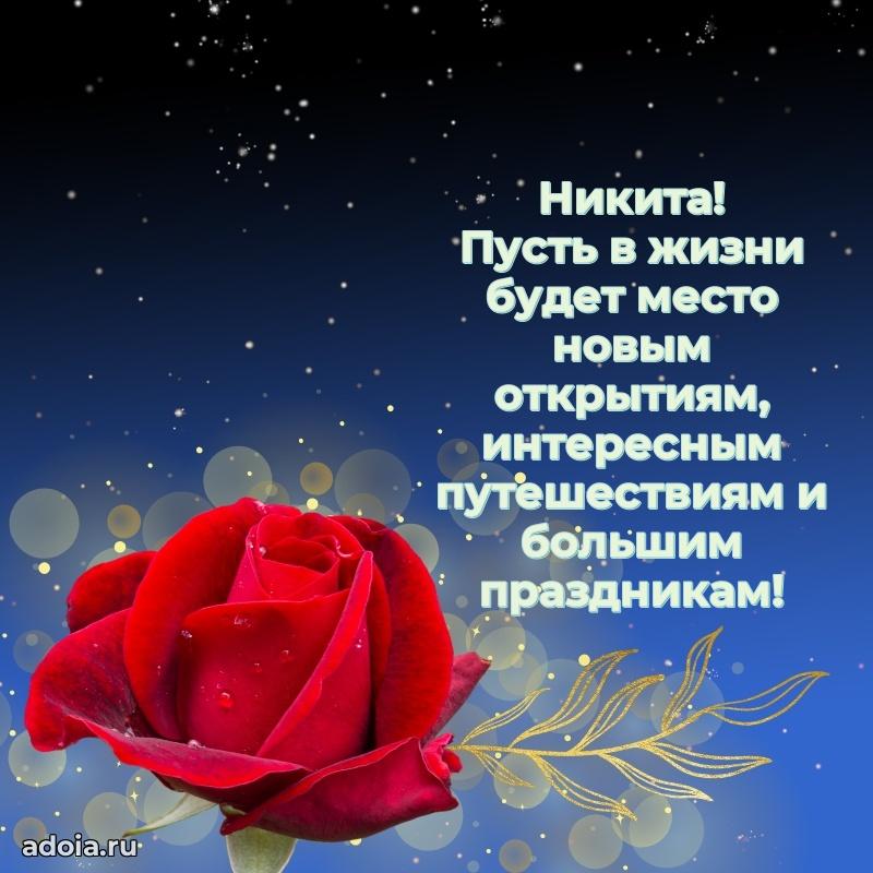 Пожелания трогательные Никите