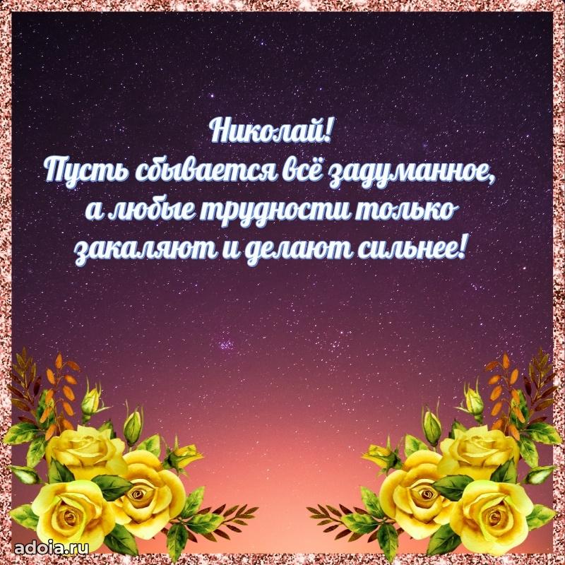 Мерцающая картинка Николаю с днем рождения