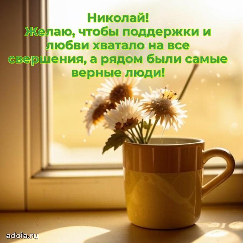 Поздравление племяннику Николаю праздничные своими словами