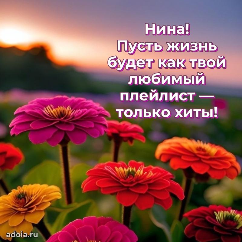 Смешная открытка для ватсап с днем рождения Нине