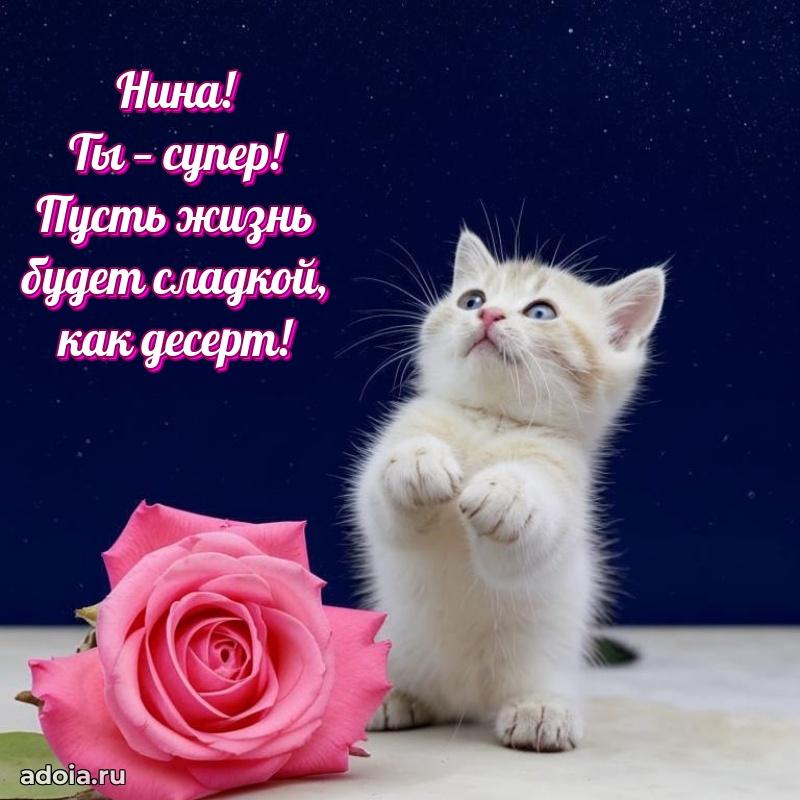 Мерцающая картинка Нине с днем рождения