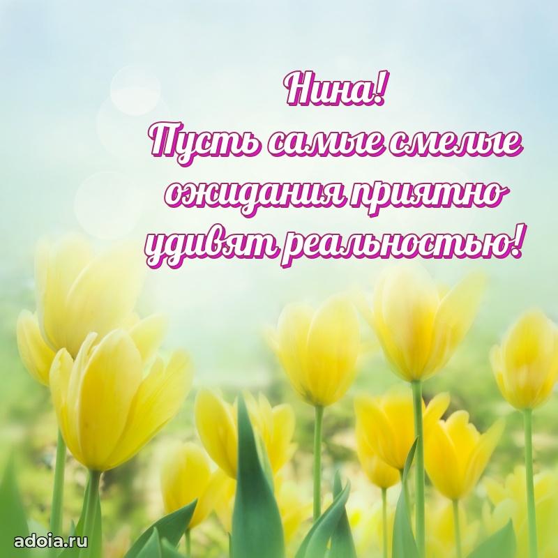 Смешная открытка для ватсап с днем рождения Нине