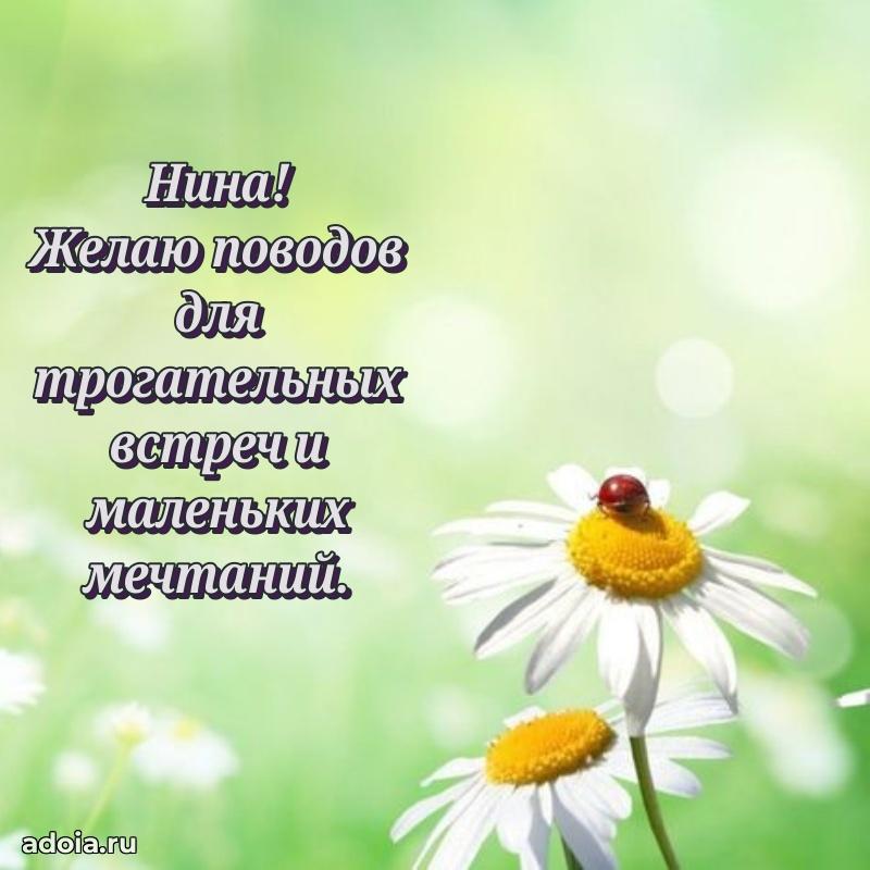 Открытка с пожеланиями Нине для ватсапа