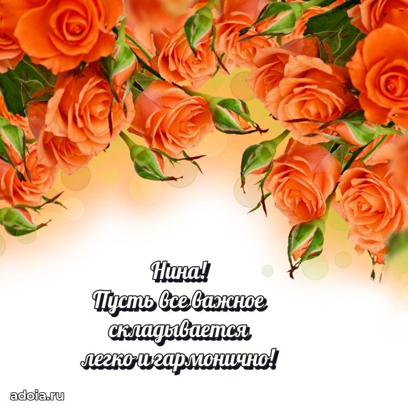 Яркая гифка Нине с днем рождения