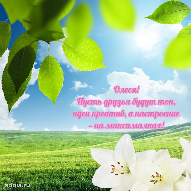 Открытка для ватсап с днем рождения Олесе