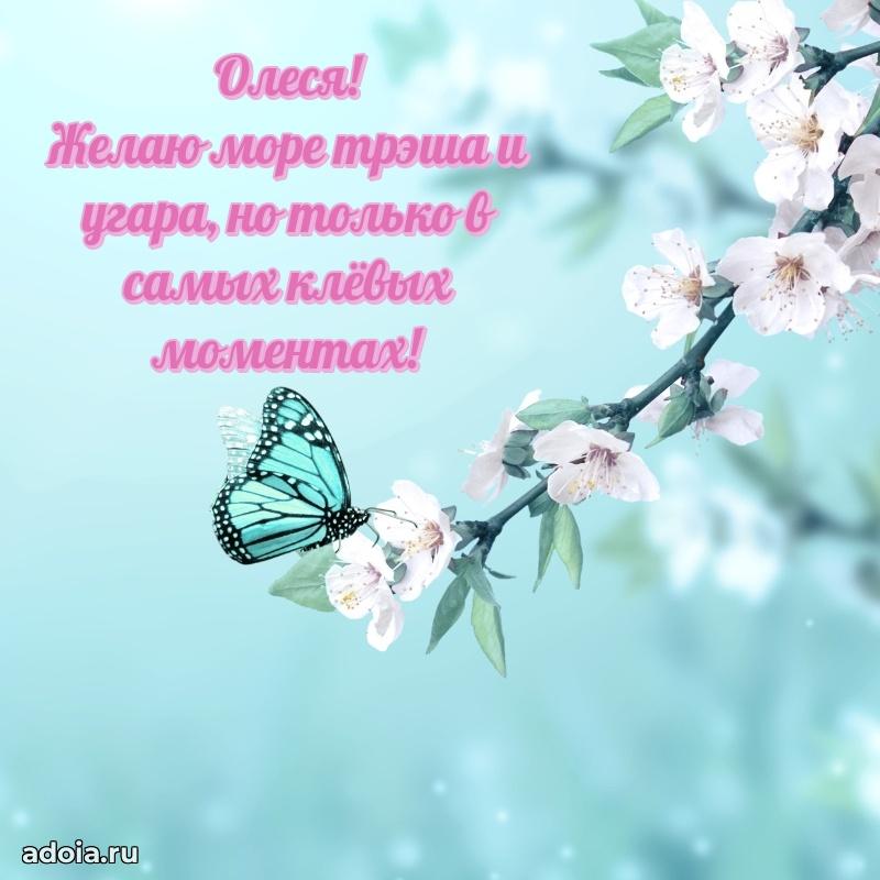 Открытка Олесе праздничная