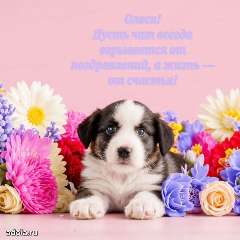 Поздравление Олесе праздничные своими словами в прозе