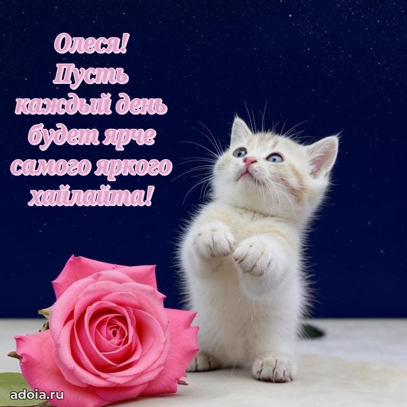 Поздравить племянницу с др Олесе