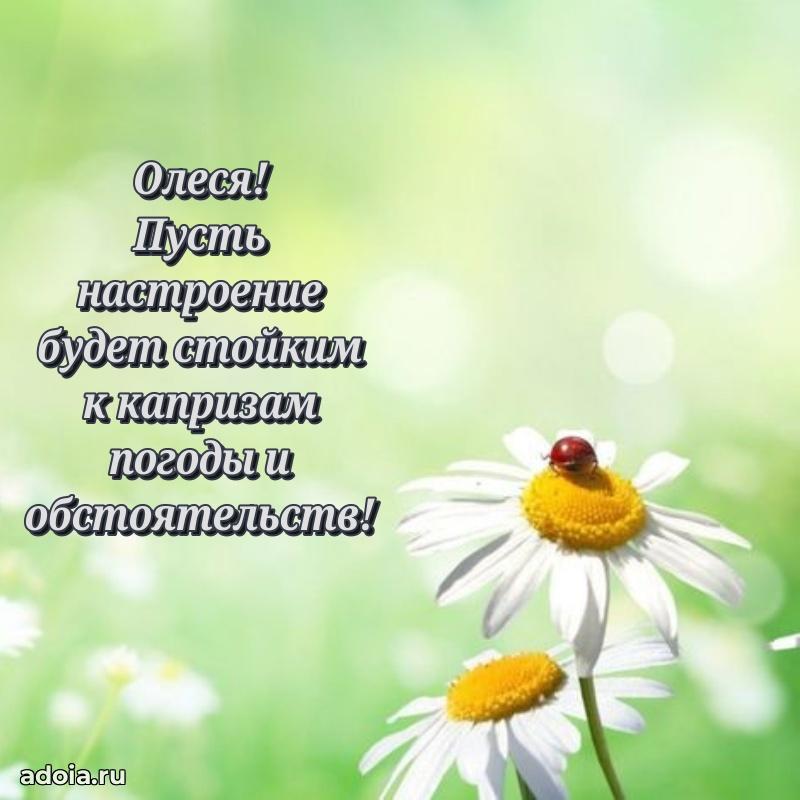 Поздравить сестру с др Олесе
