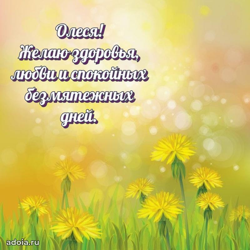 Поздравление Олесе праздничные своими словами в прозе