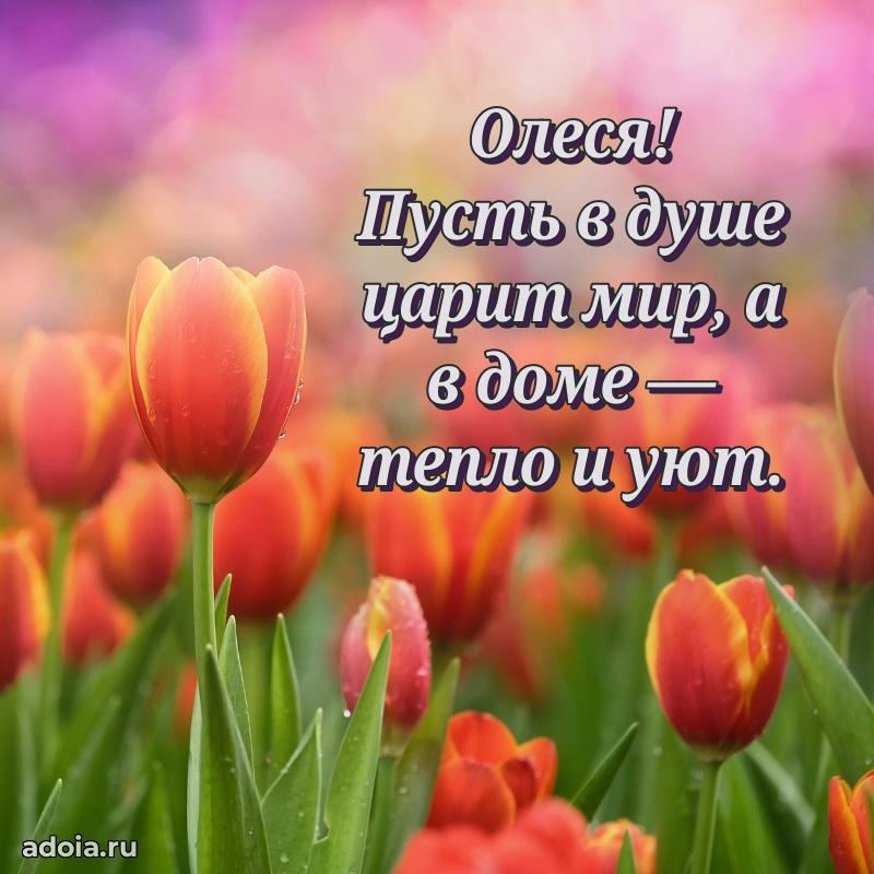 Современная открытка любовнице