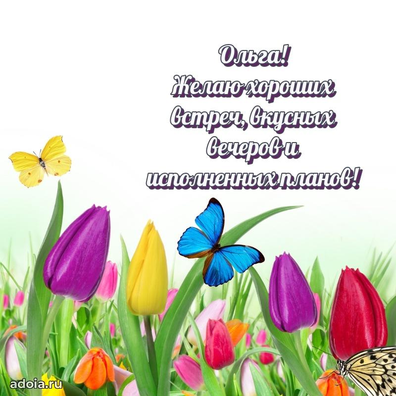 Яркая гифка Ольге с днем рождения