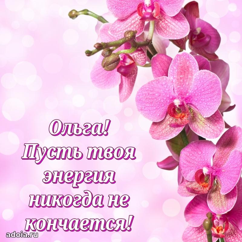 Поздравление Ольге праздничные своими словами в прозе