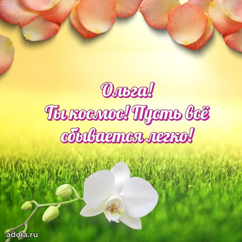 Смешная открытка для ватсап с днем рождения Ольге