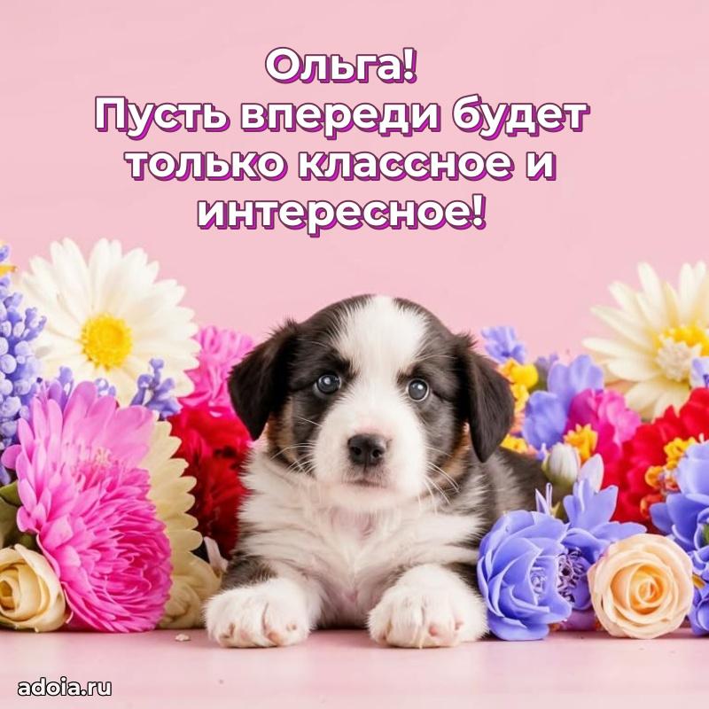 Смешная открытка для ватсап с днем рождения Ольге