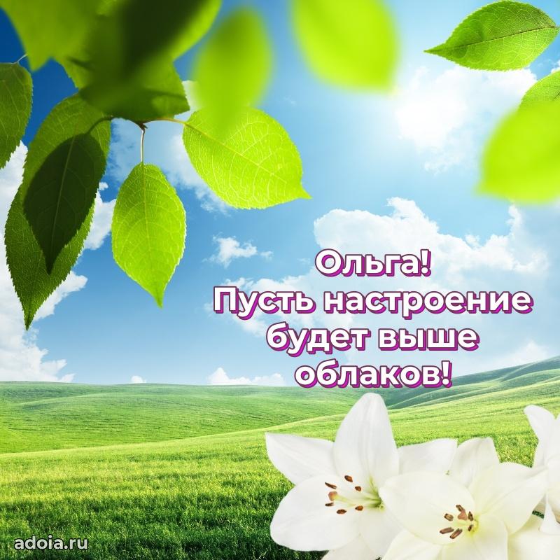 Открытка с пожеланиями Ольге для ватсапа