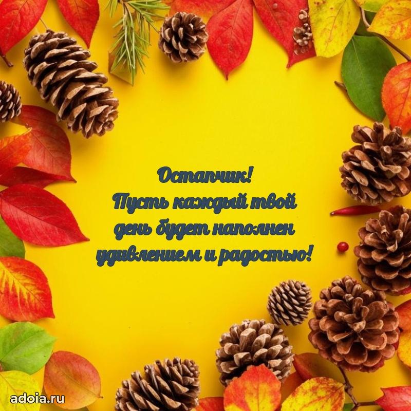 Поздравить племянника с др Остапу