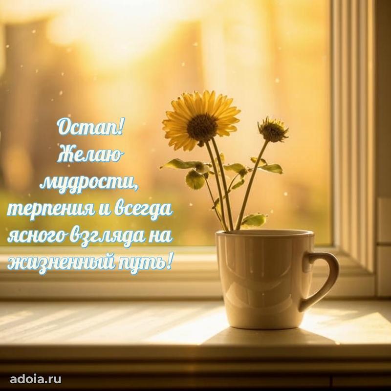 Поздравление с днем рождения мужчине в прозе