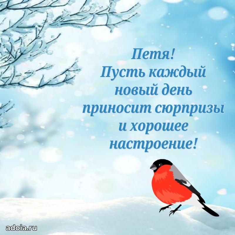 Поздравление мальчику Петру