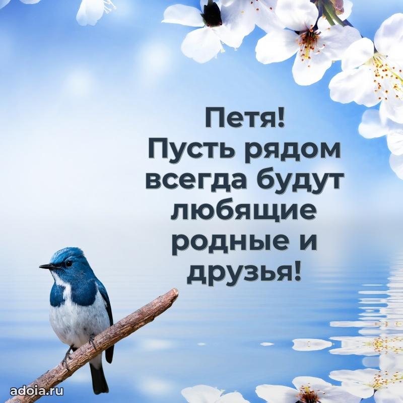 Новые открытки с днем рождения ребенку Петру