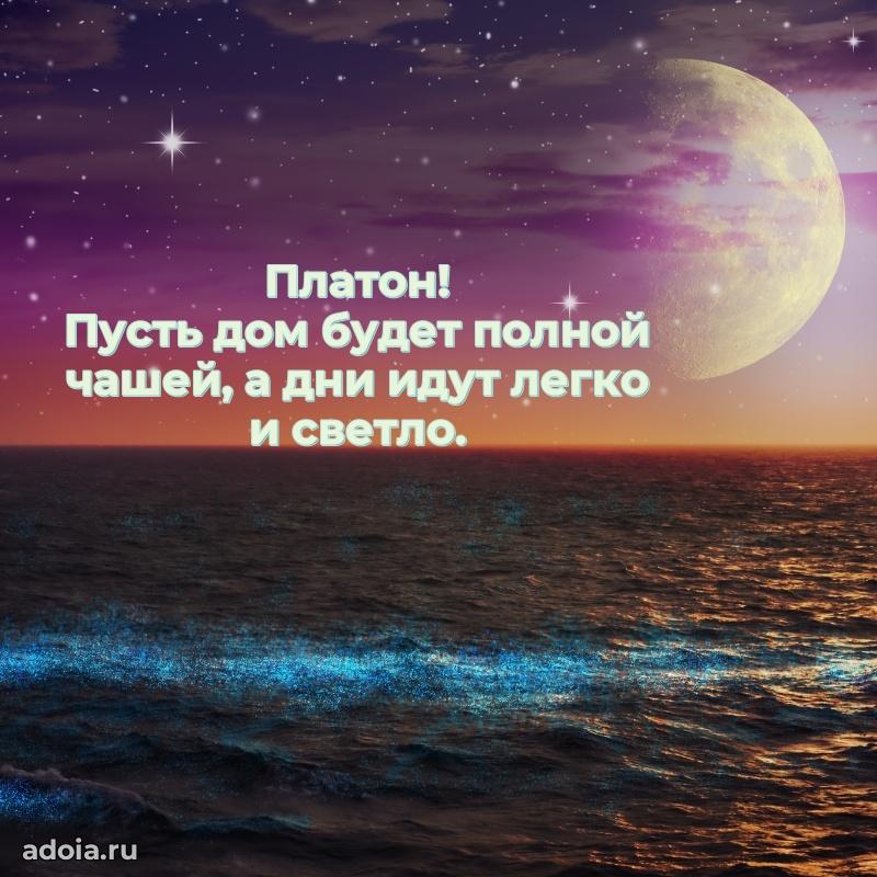 Мерцающая картинка Платону с днем рождения