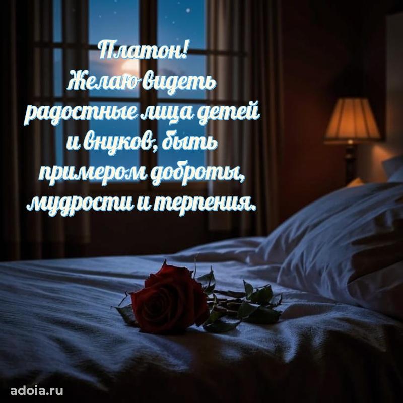 Яркая гифка Платону с днем рождения