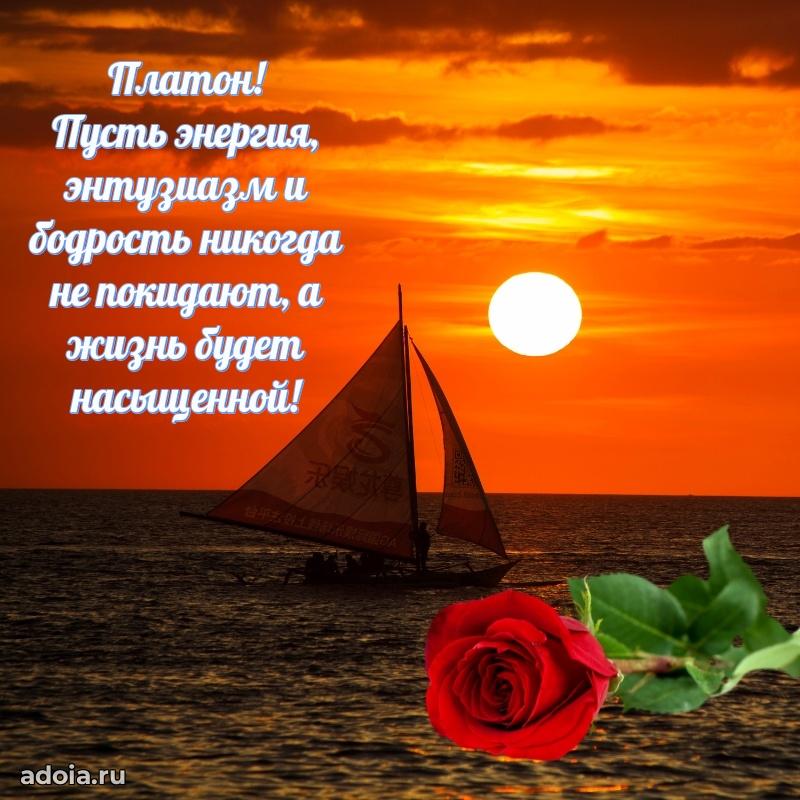 Пожелания трогательные Платону