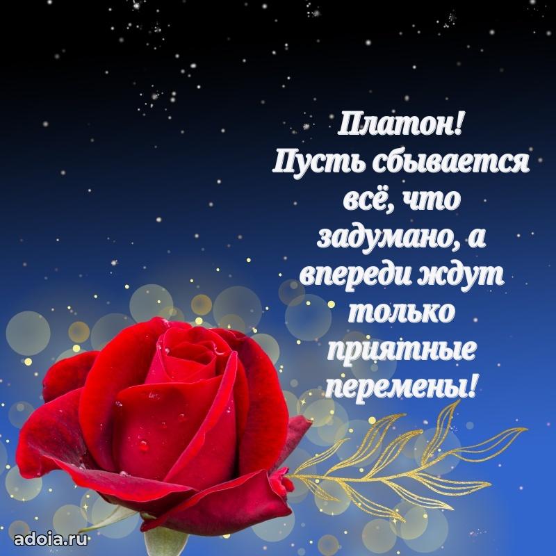 Новые открытки с днем рождения брата праздничные Платону