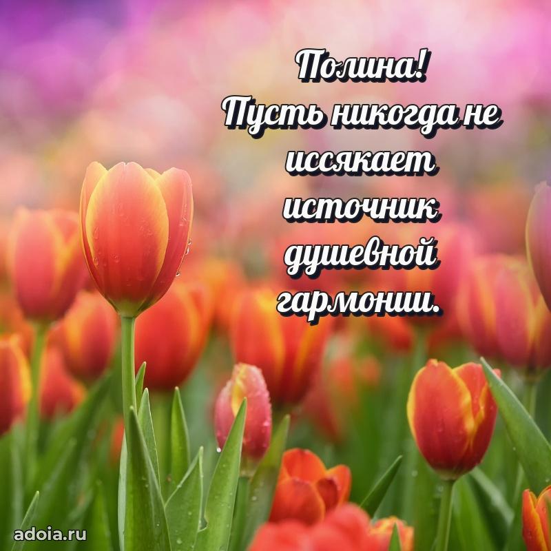 Открытка для ватсап с днем рождения Полине