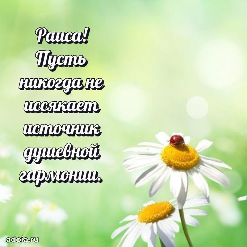 Яркая гифка Раисе с днем рождения