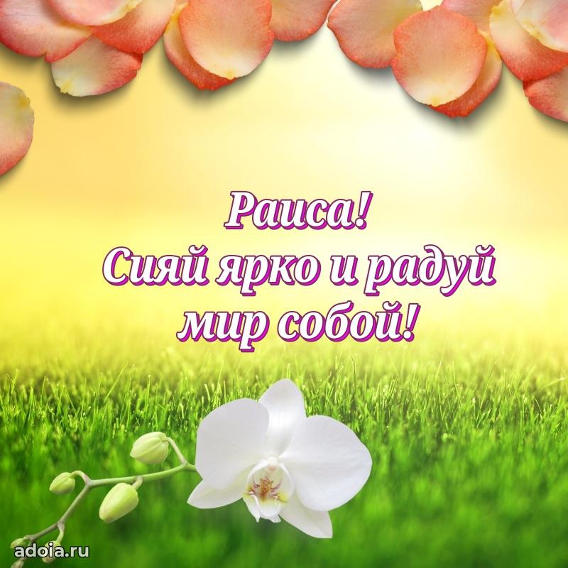 Современная открытка супруге