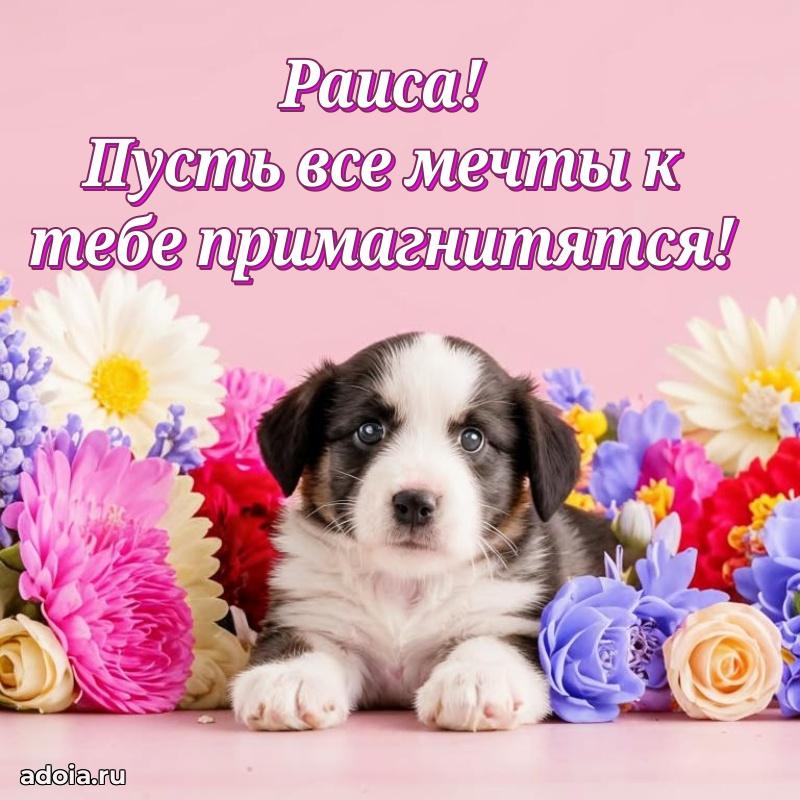 Смешная открытка для ватсап с днем рождения Раисе