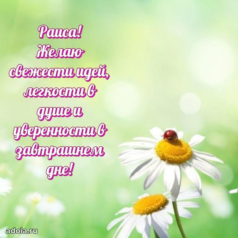 Смешная открытка для ватсап с днем рождения Раисе