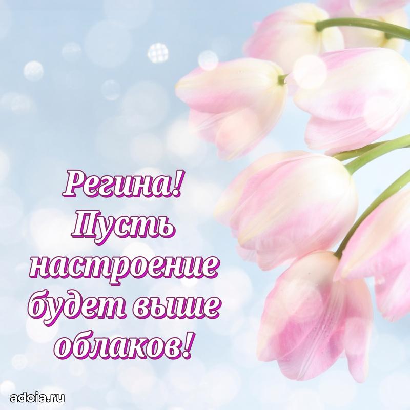 Смешная открытка для ватсап с днем рождения Регине