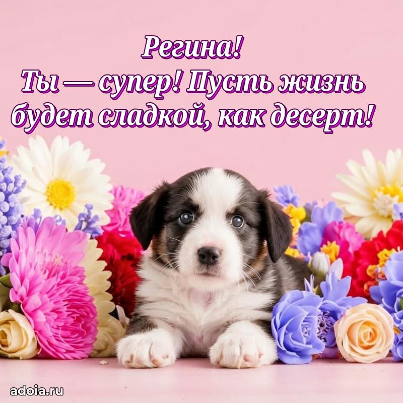 Поздравление с днем рождения девушке