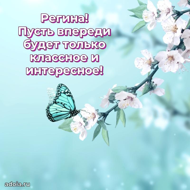 Новые открытки с днем рождения праздничные Регине