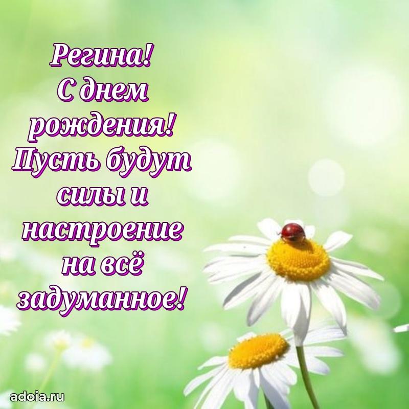 Новые открытки с днем рождения праздничные Регине