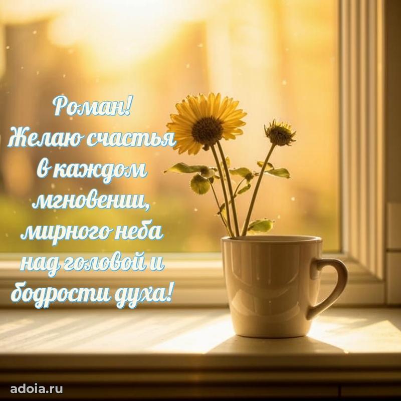 Поздравить друга с др Роману