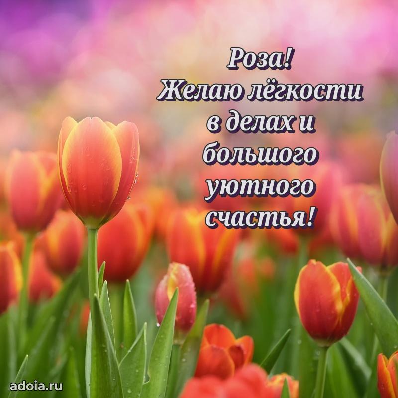 Картинка дочери Розе