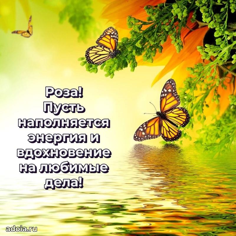 Открытка с пожеланиями Розе для ватсапа