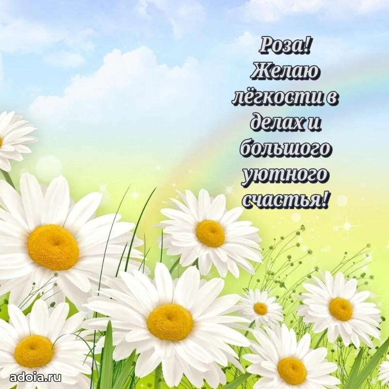 Поздравить сестру с др Розе