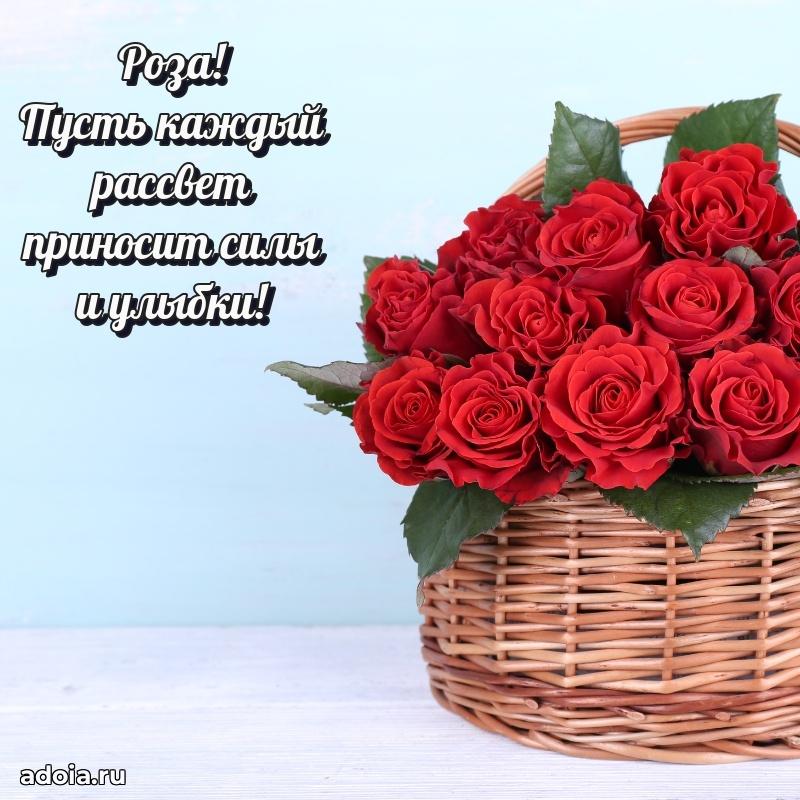 Картинка дочери Розе