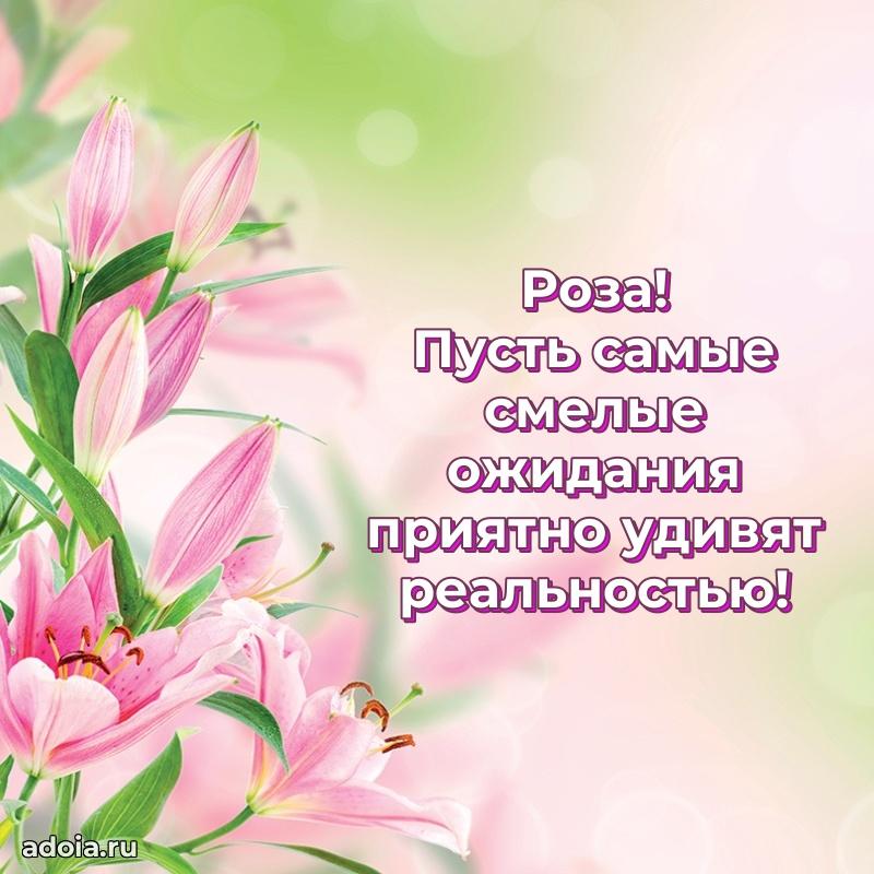 Картинка дочери Розе