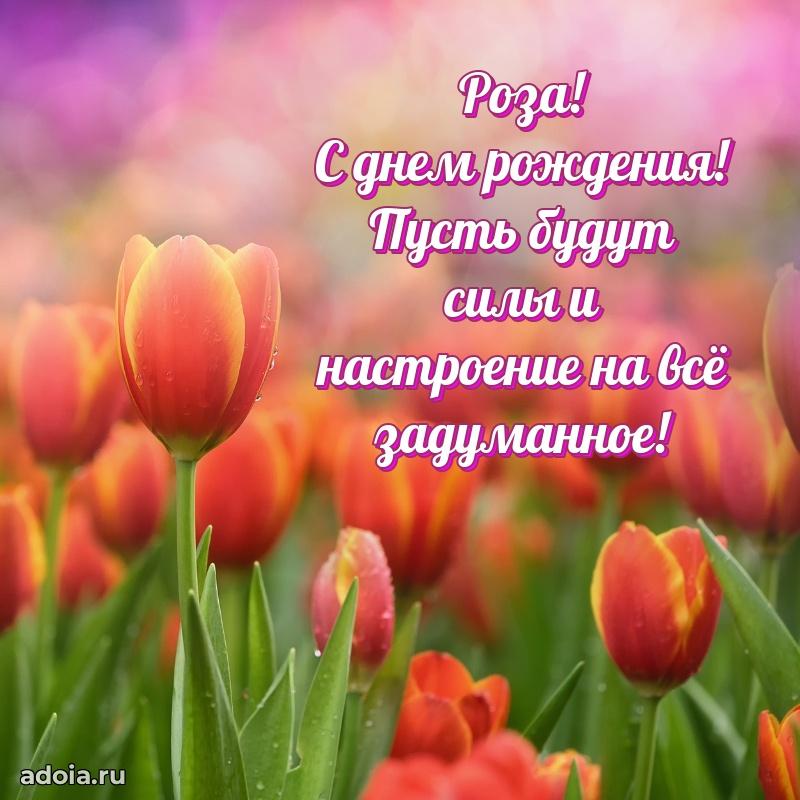 Поздравление с днем рождения сестре в стихах