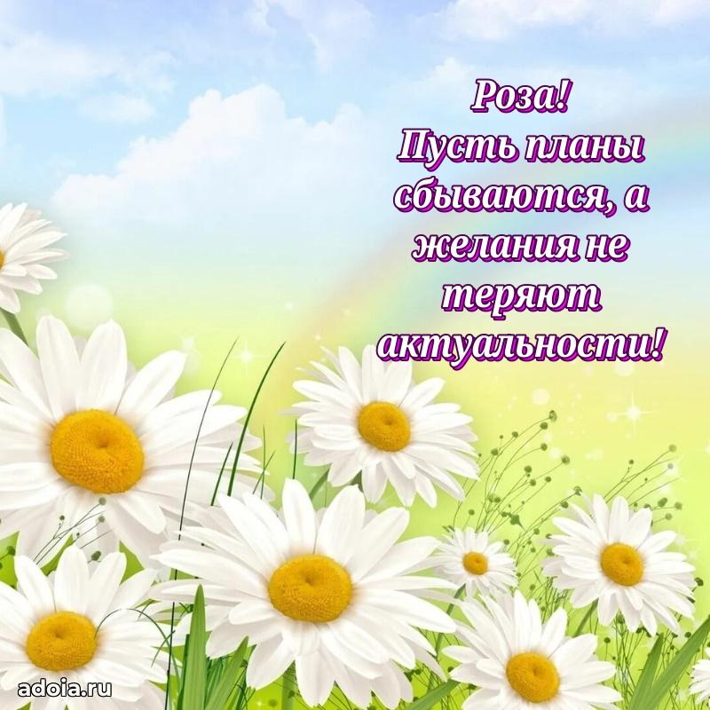 Поздравление женщине Розе