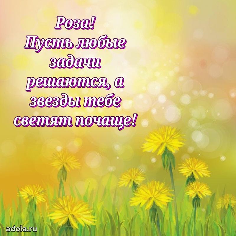 Картинка дочери Розе